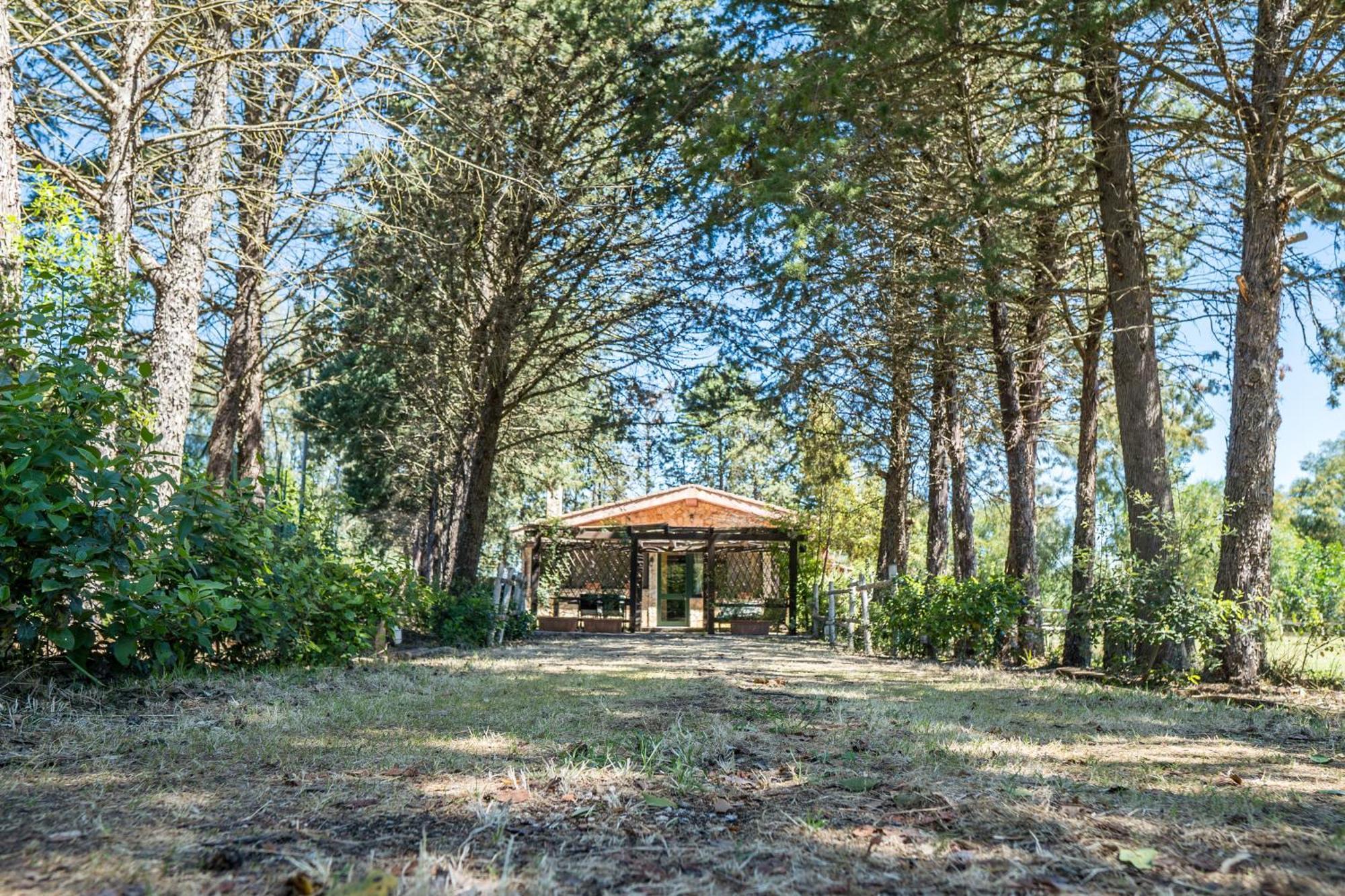 Fattoria Dei Piani Srl Villa Olmedo Ngoại thất bức ảnh